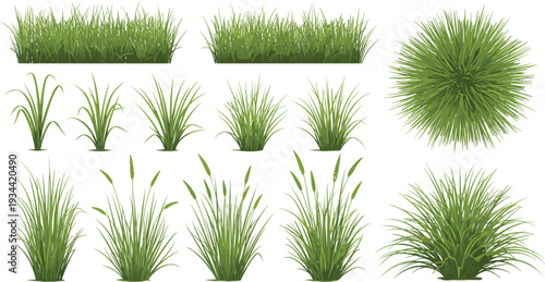 Green grass tuft collection vector illustration realistic lawn plants garden foliage set isolated design