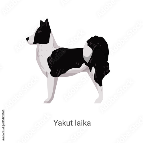 Vector illustration of a black and white Yakut Laika dog standing on a white background.