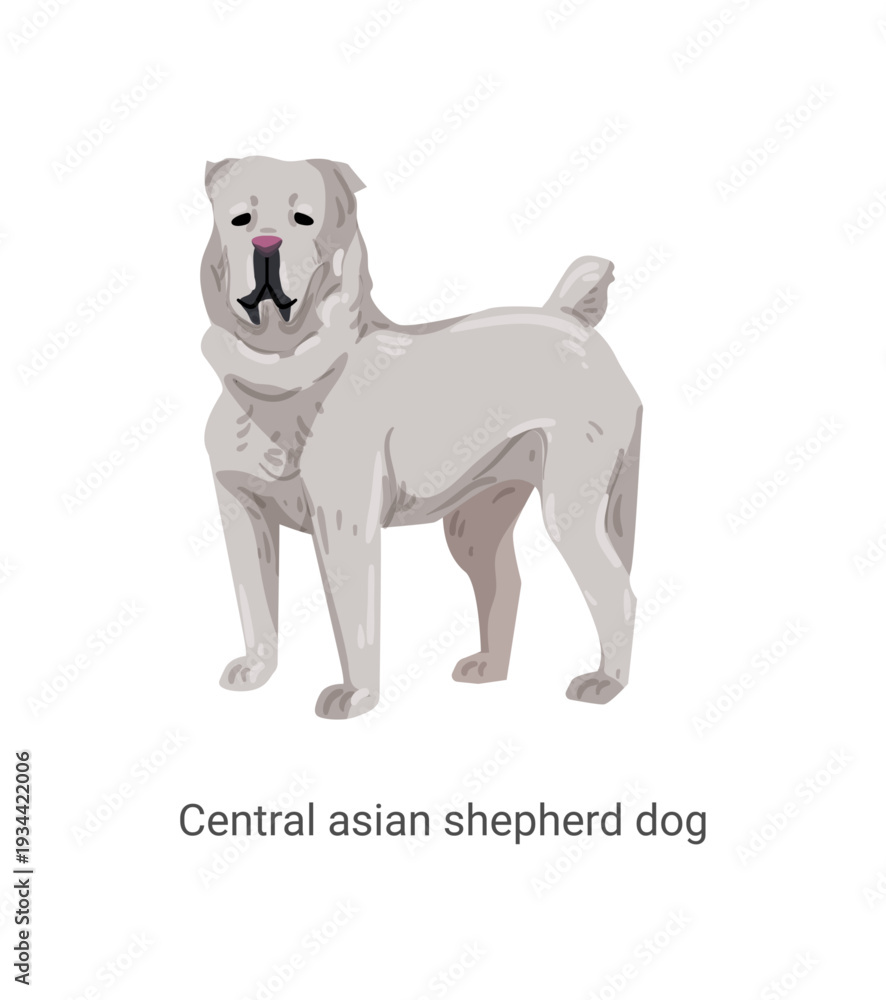 Obraz premium Vector illustration of a white Central Asian Shepherd dog standing on a white background.
