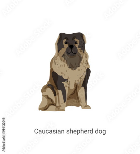 Vector illustration of a brown Caucasian Shepherd dog sitting on a white background.
