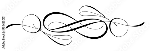Elegant Swirling Ornament Vector Illustration Design
