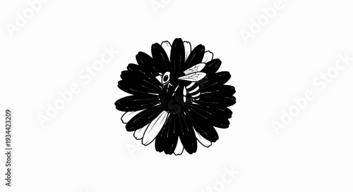 A black and white illustration of a bee on a dark daisy