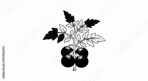 A stylized plant with four dark tomatoes and numerous leaves