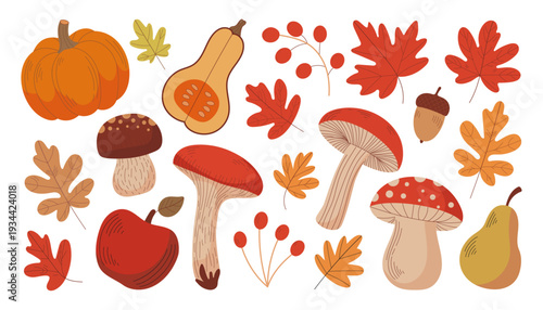 Autumn harvest illustration set with pumpkin mushrooms leaves and berries isolated on white