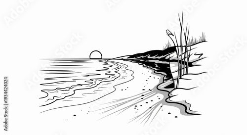 A bird sits on reeds by a sandy beach as a sun sets over the ocean