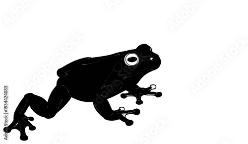 A black frog with large, light-colored eyes is in a dynamic pose