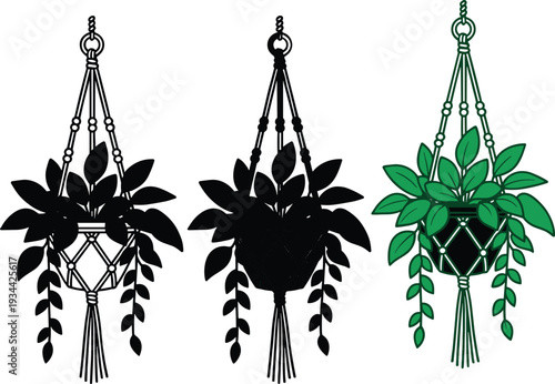 Elegant hanging macrame plant holders with leafy greenery, decorative bohemian style silhouette and colorful design for home interior wall art illustration