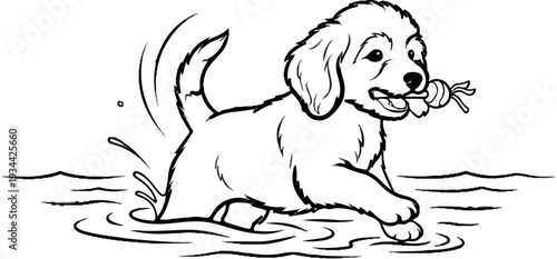 Playful puppy with a toy splashing in water