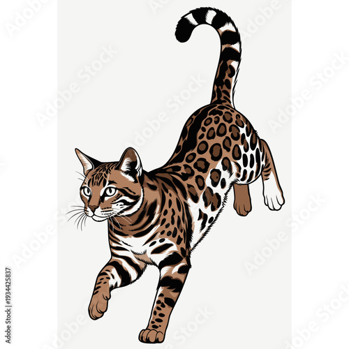 bengal cat wild tattoo style vector icon isolated on white background