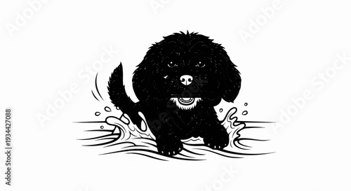 Fluffy black dog in water with a stick in its mouth