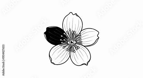 Black and white line drawing of a flower with an eye in the center
