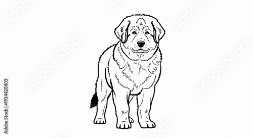 A striking line drawing of a large, shaggy dog standing and looking forward