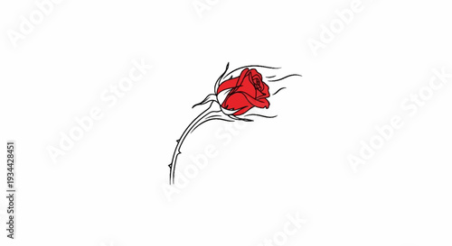 A single red rose with a thorny stem, drawn in a stylized manner