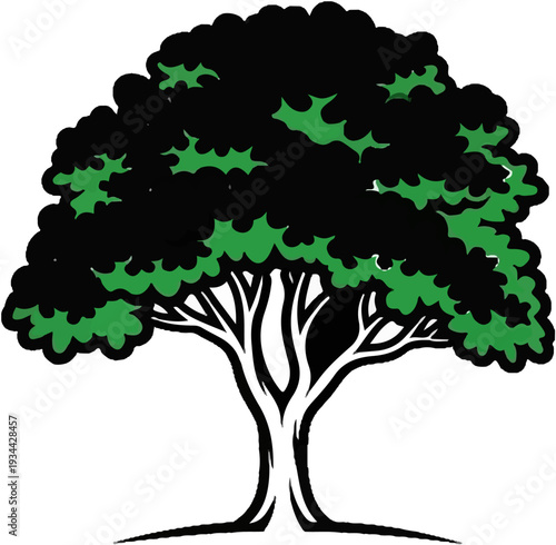 Stylized illustration of a deciduous tree with a thick trunk and a dense, bushy canopy