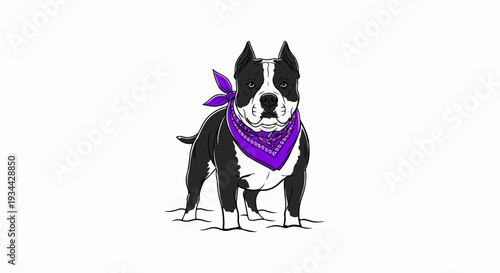 A muscular pit bull dog with black and white fur wears a purple bandana