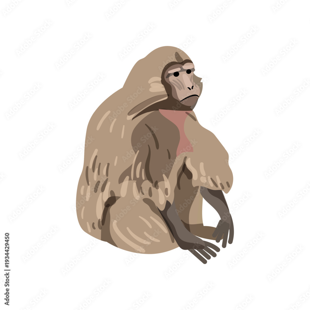 Fototapeta premium Vector illustration of a light brown monkey sitting.