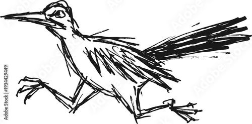 hand drawn bird illustration walking with long tail and beak black sketch lines