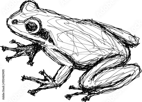 Sketch of a frog in side view with detailed limbs and head, artistic line drawing illustration