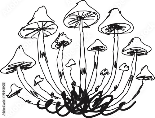 Cluster of wild mushrooms with slender stems and conical caps growing closely together in natural habitat