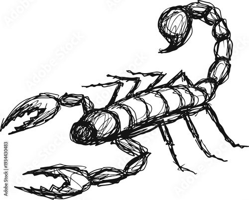 hand drawn scorpion sketch black ink illustration of desert arachnid with pincers and curved tail, detailed line art