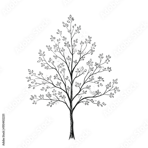 Minimalist black and white illustration of a delicate tree with sparse leaves