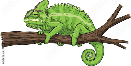Green Chameleon Sitting on Tree Branch Detailed Cartoon Vector Illustration