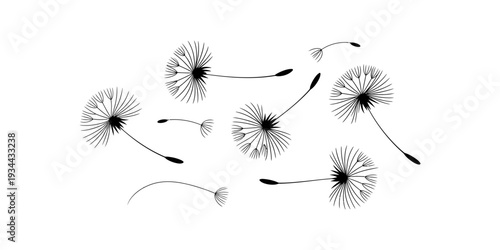 A simple black and white illustration depicting dandelion seeds floating freely in the air. Vector, illustration