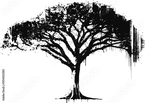 Black ink tree silhouette with drooping branches in grunge isolated on white background