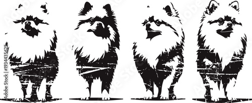 pomeranian dog silhouettes standing side by side with fluffy fur and alert expressions