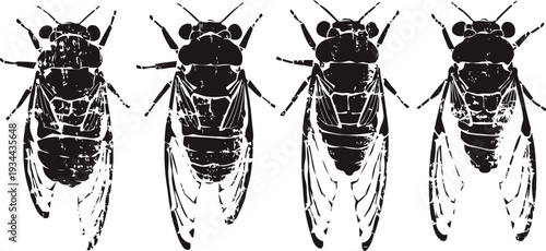 black silhouette cicada insects set four detailed cicada bugs in row winged insects vector illustration