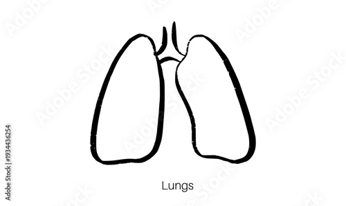 Lungs Sketch Poster