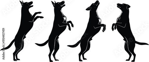 Four black silhouettes of dogs standing on hind legs with front paws raised on white background vector