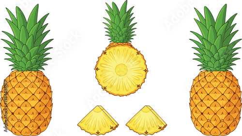 Fresh pineapple whole sliced and chunks tropical fruit vector set