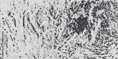 Abstract textured background in grayscale with organic, fluid-like patterns and a subtle grainy effect, evoking a sense of natural textures or microscopic structures for design