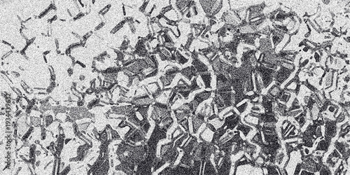 Dense monochrome abstract texture with interlocking fragmented shapes and granular noise, creating a complex, organic, or crystalline surface for detailed backgrounds