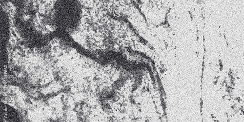 Detailed close-up of an abstract monochrome textured surface with organic branching structures and a granular speckled appearance, offering a unique and intricate visual element for creative projects