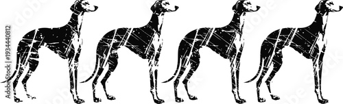four black greyhound silhouettes standing in a row with shadow reflection on white background