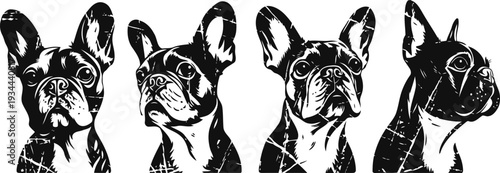 four black and white french bulldog faces with different head angles in a cool grunge
