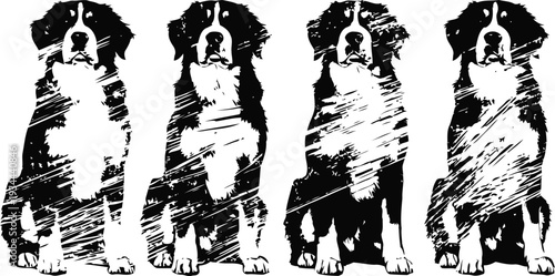 Bernese mountain dog silhouette set four black and white sketches of sitting dogs with fur texture detail