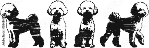 poodle dog grooming and styling set front and side black and white poodle silhouette views