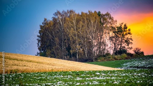 A vibrant landscape showcases a field of crops with a cluster of trees under a colorful sky at sunset.