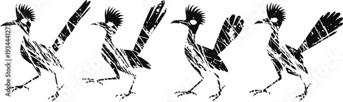 abstract tribal roadrunner bird silhouettes in dynamic poses with stylized feather details