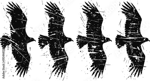 flying eagle silhouettes in grunge with spread wings, dynamic bird motion, monochrome design