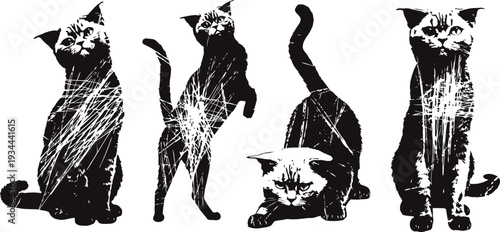 stylized black and white cat illustrations in various playful and curious poses, artistic sketch design
