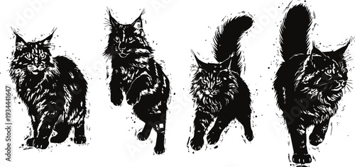 maine coon cat in various poses large fluffy domestic cat walking and standing detailed black silhouette illustration