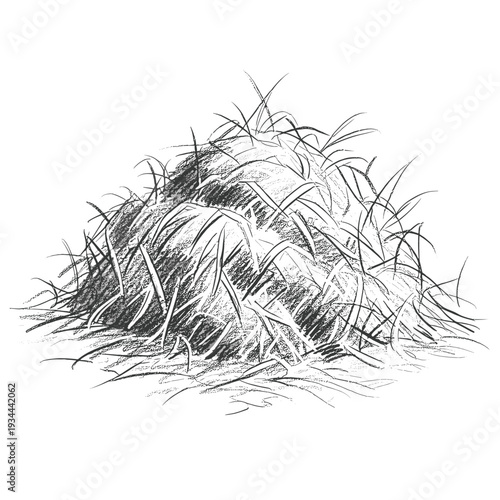 Sketch of a pile of dry grass and straw with a textured, hand-drawn style