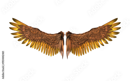 An illustration of glorious golden spread bird wings on a pitch black background.