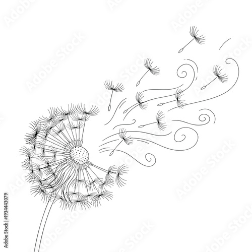 Delicate dandelion seeds carried by the wind in a minimalist line art style