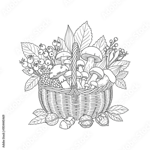 Line art illustration of a woven basket overflowing with forest mushrooms, berries, and nuts
