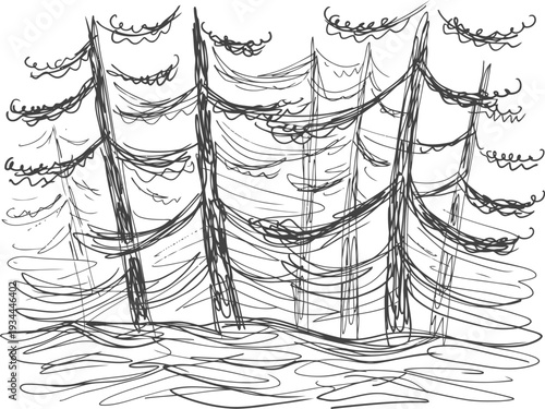 Dense forest with tall trees covered in spider webs and surrounding mist